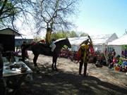 Celodenní výlet na Bezděz title=